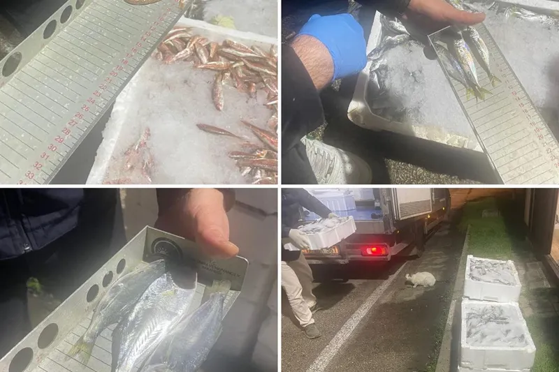 Bursa’da 26 kasa kaçak av balığı yakalandı