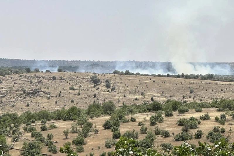 Mardin’de ormanlık alanda yangın çıktı 