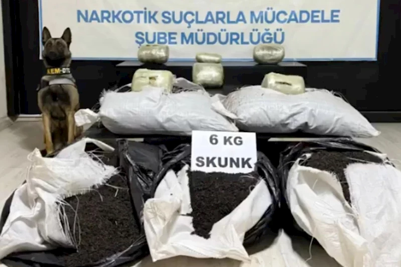 Hakkâri