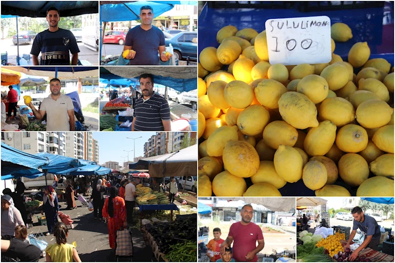 Limon fiyatları cep yakıyor! artık kilogram değil taneyle satılıyor 