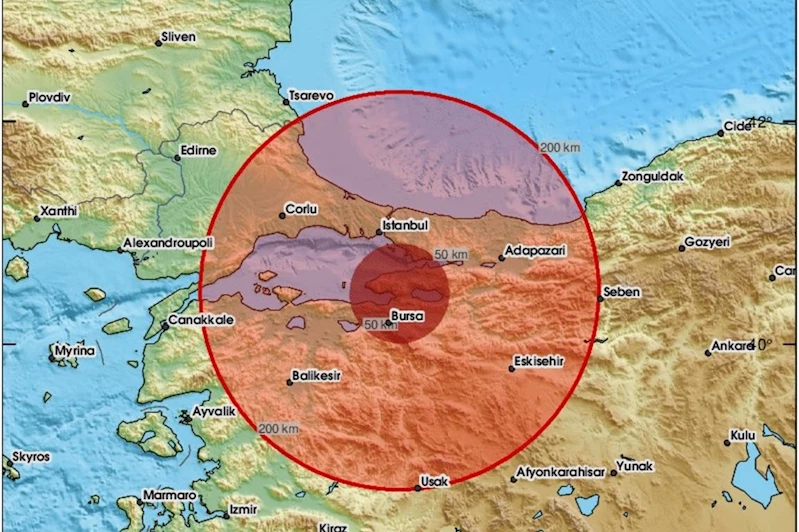 Bursa