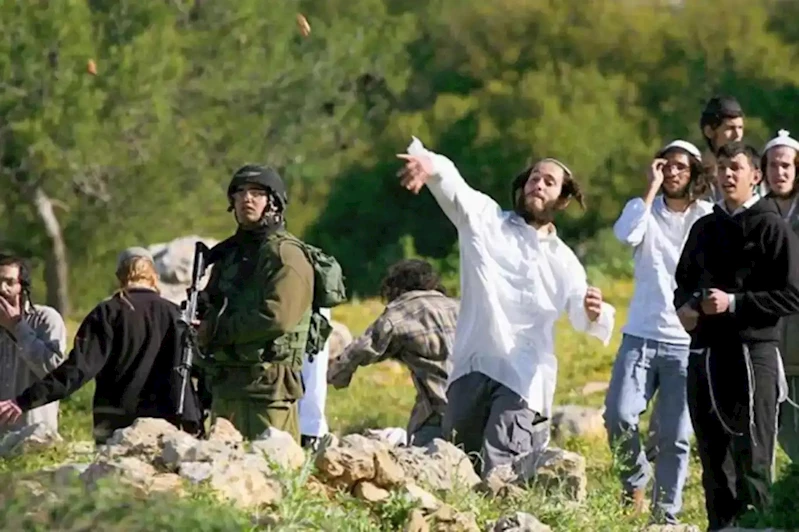 HAMAS