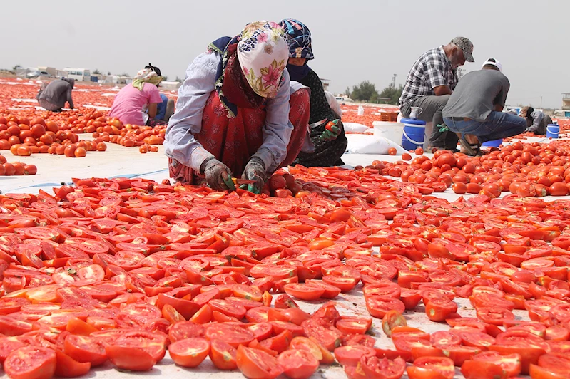 Diyarbakır