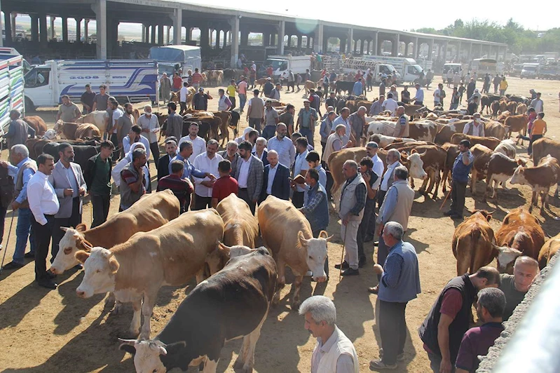Aktif hale getirilen hayvan pazarı sayısı 38