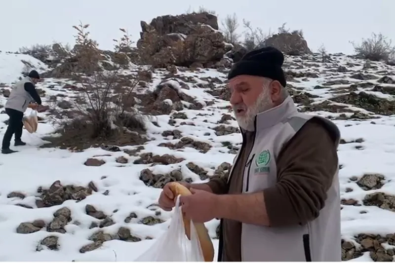 Batman'da Umut Kervanı kış şartlarında yaban hayvanlarını unutmadı