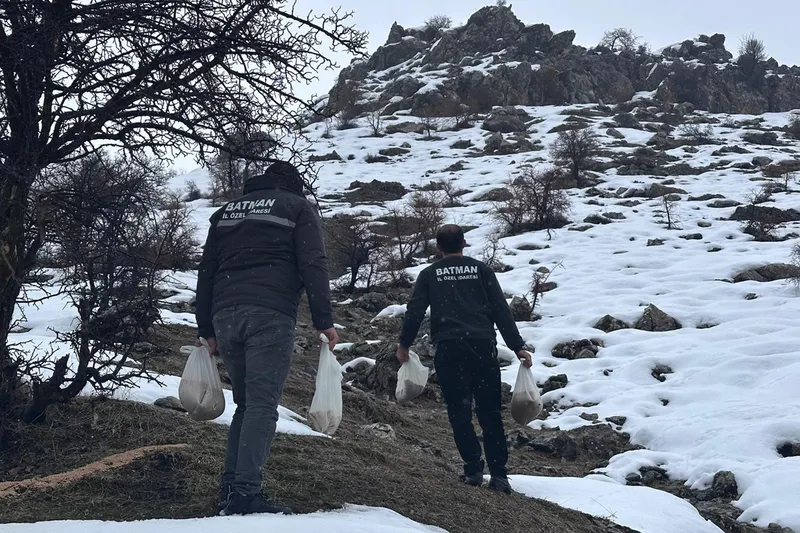 Yaban hayvanları için doğaya yem desteği