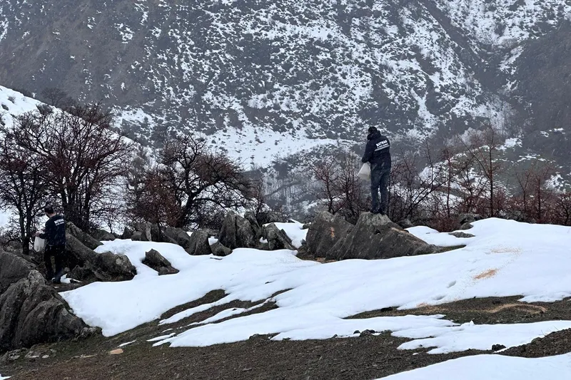 Yaban hayvanları için doğaya yem desteği