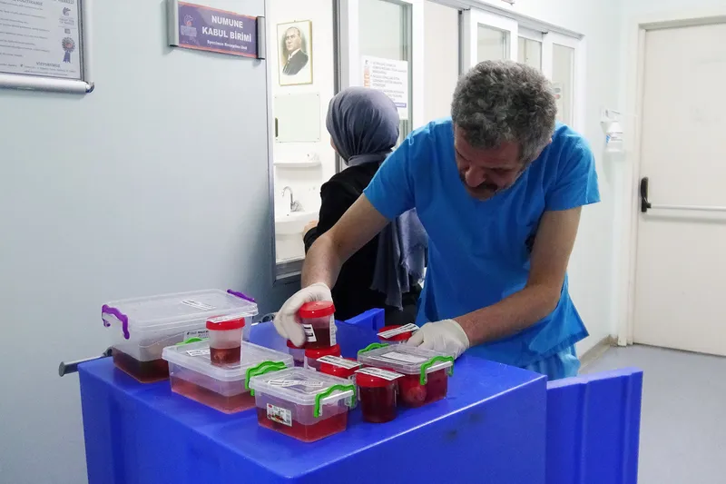 Prof. Dr. Gökçe: Patoloji, tanı ve tedavinin yol haritasını belirliyor