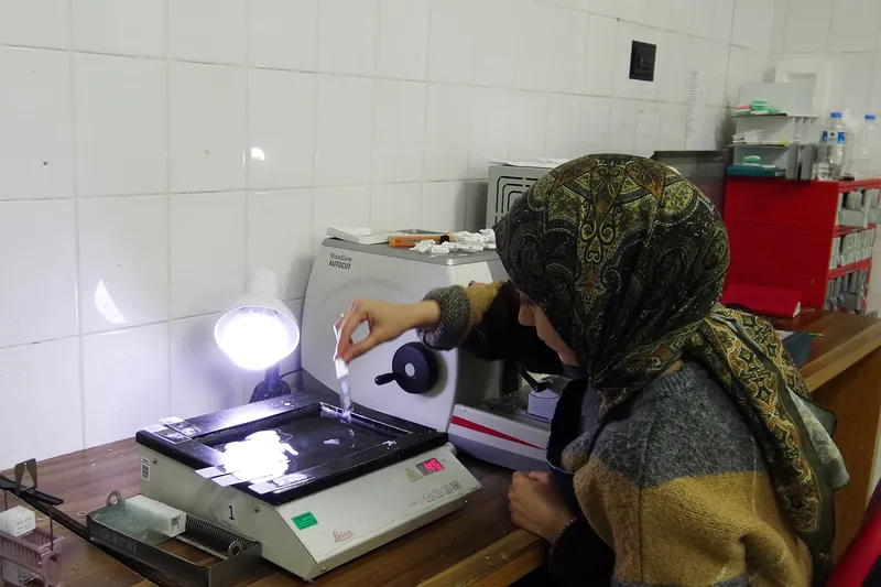 Prof. Dr. Gökçe: Patoloji, tanı ve tedavinin yol haritasını belirliyor