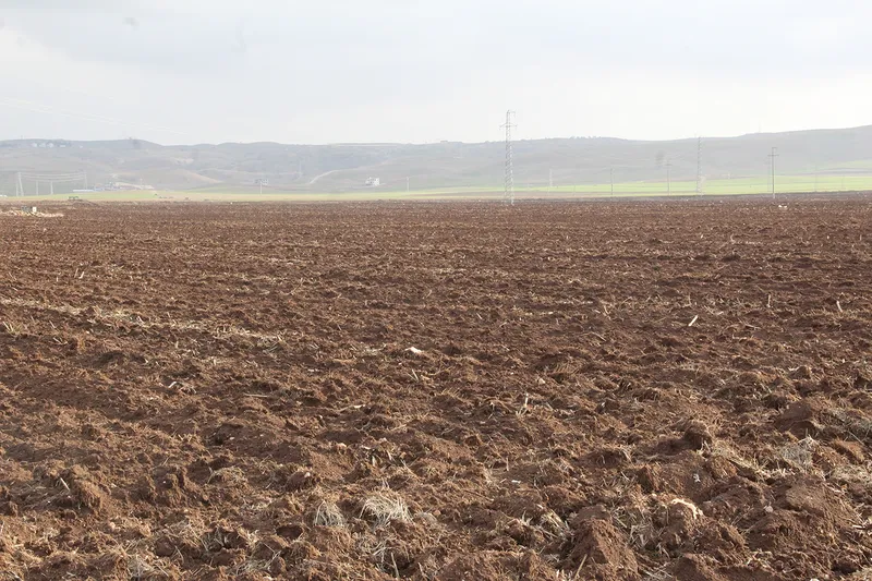 ZMO Başkanı Doğan: Hunharca tükettiğimiz hayat kaynağı toprağı korumak zorundayız