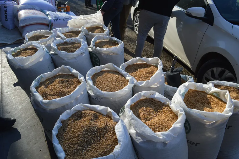 Fitre nasıl verilmeli? Vaiz Karanfil merak edilenleri açıkladı