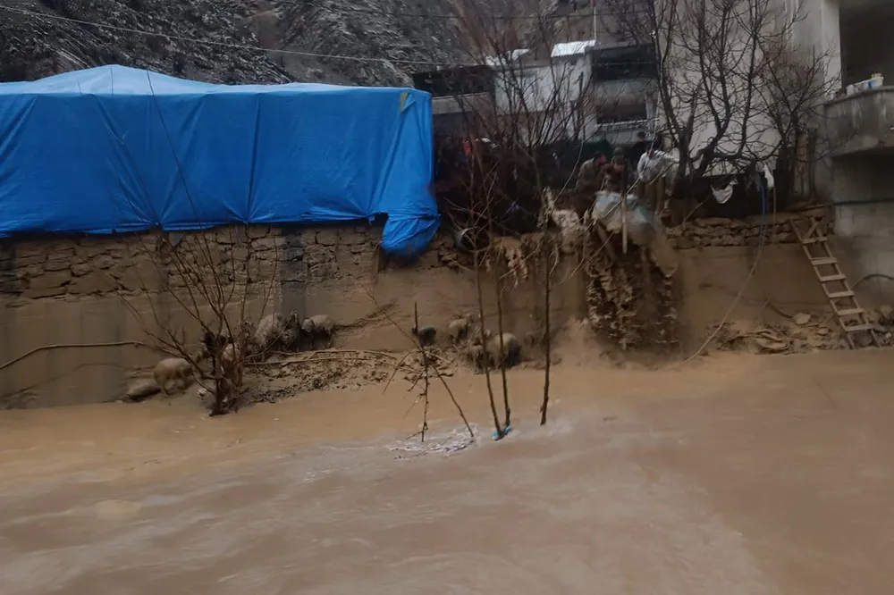 Şırnak’ta sel ve heyelan: Evler zarar gördü, çok sayıda hayvan telef oldu