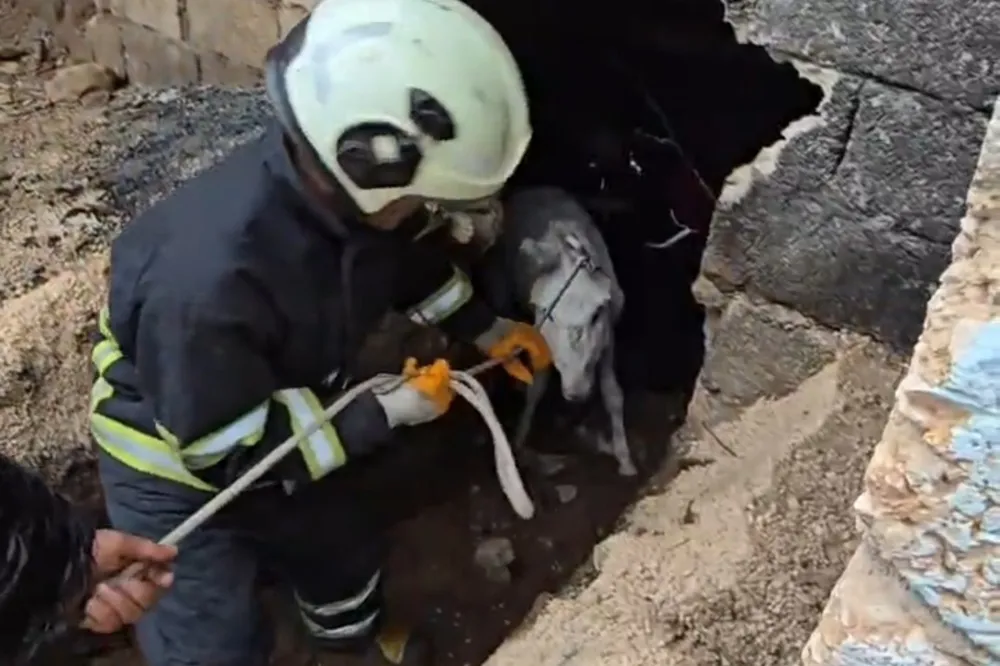 Mardin’de çöken ahıra düşen eşek itfaiye ekiplerince kurtarıldı