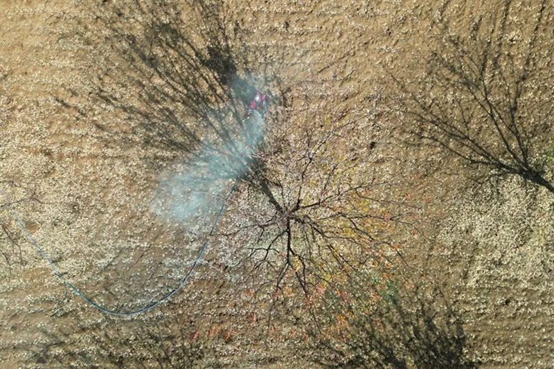 Malatya'da kayısı üreticilerine ilkbahar ilaçlama uyarısı