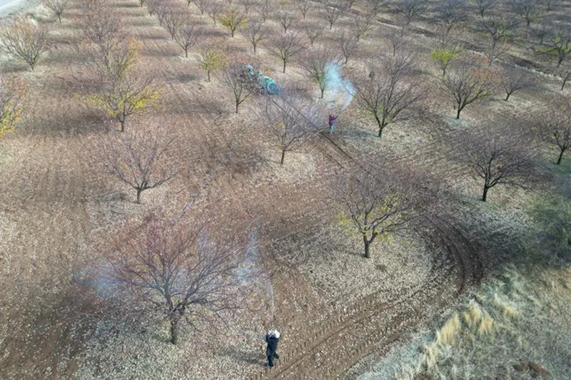 Malatya'da kayısı üreticilerine ilkbahar ilaçlama uyarısı