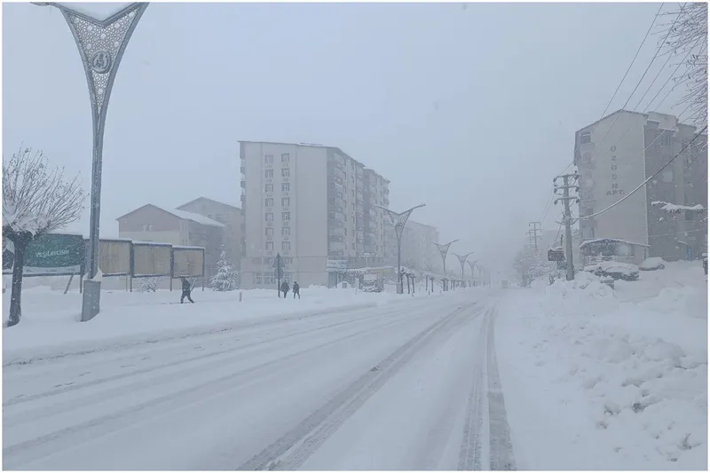Bitlis’te mart ayında 288 köy yolu ulaşıma kapandı