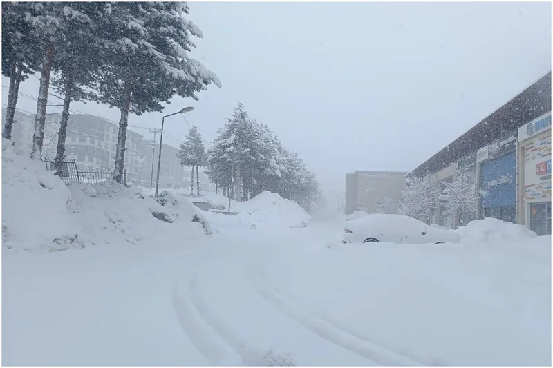 Bitlis’te mart ayında 288 köy yolu ulaşıma kapandı